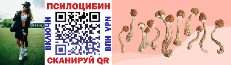 Галлюциногенные грибы прущие грибы Богучар